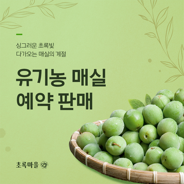 SNS 이미지