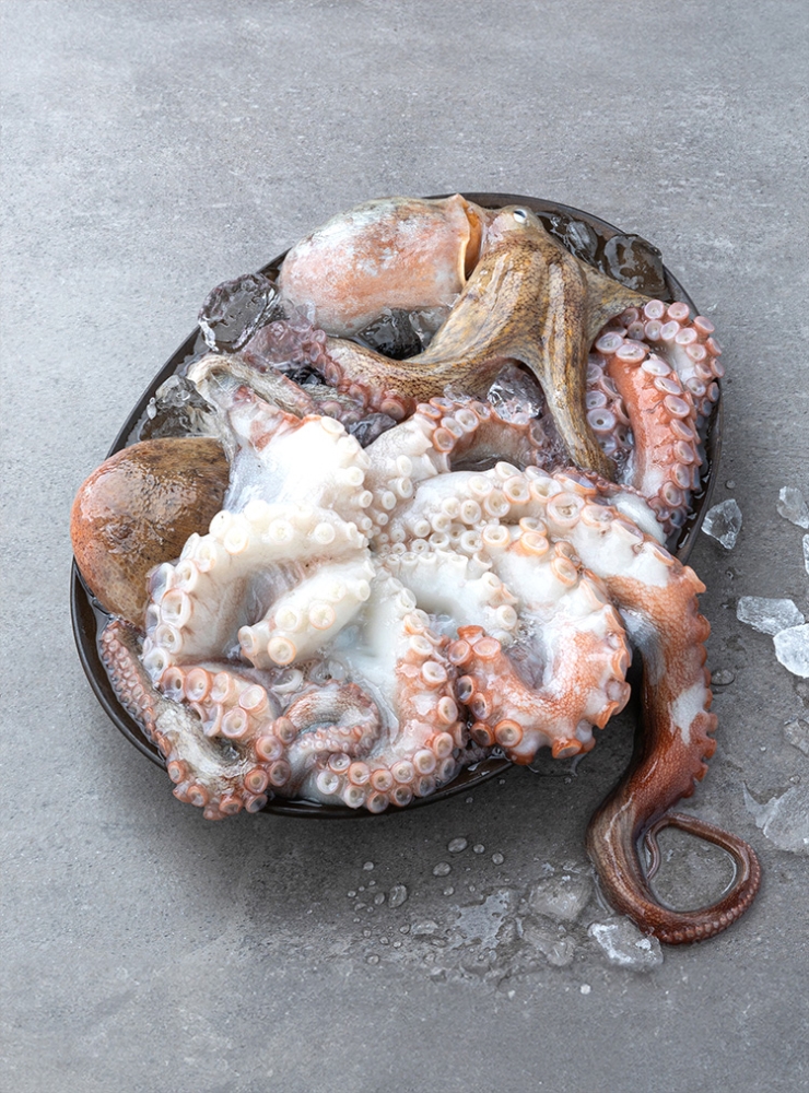 [산지직송] 자연산 돌문어 (1kg/2~4미)