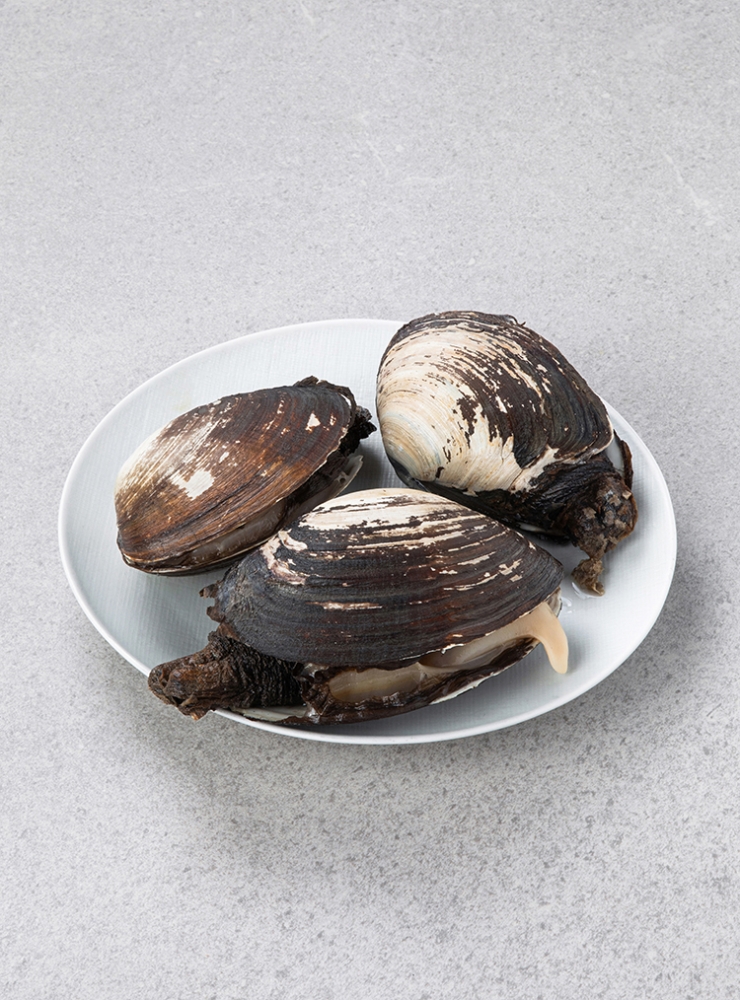 [산지직송] 자연산 왕우럭조개(1kg/2~3미)