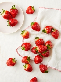 무농약 한판딸기(500g)