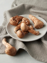 무농약 참송이버섯(100g)