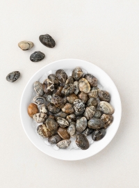 국내산 바지락(400g)